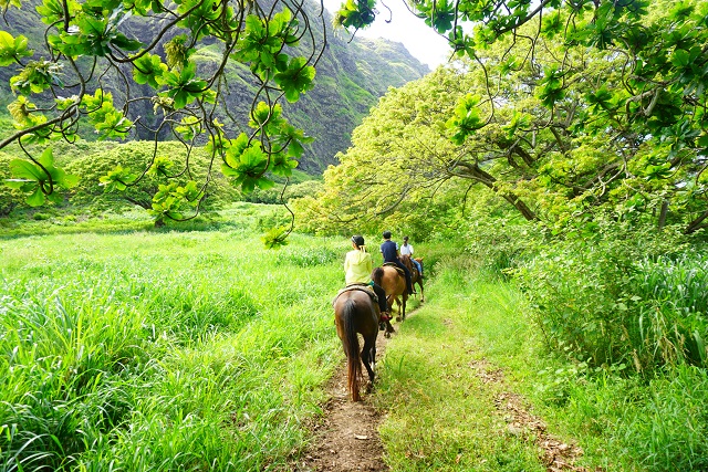 DSC02923 ハワイ新婚旅行記☆2日目