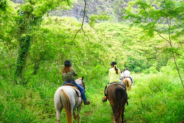 DSC02923 ハワイ新婚旅行記☆2日目