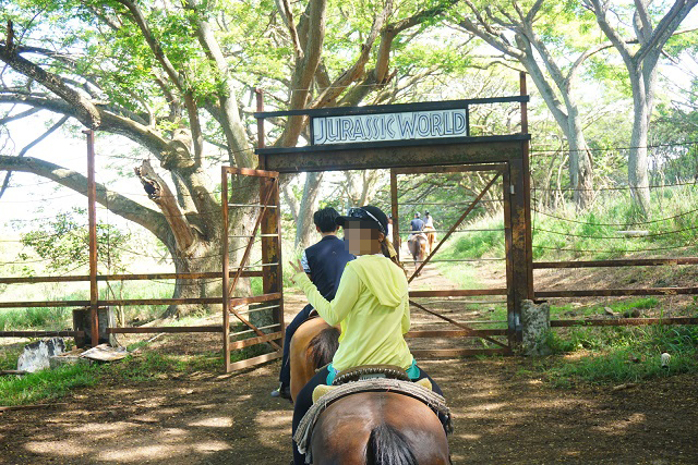 DSC02923 ハワイ新婚旅行記☆2日目