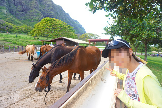 DSC02923 ハワイ新婚旅行記☆2日目