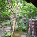 kurasinomiti 文京区観光名所「旧安田楠雄邸庭園」千駄木の魅力とは？