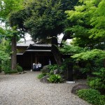 kurasinomiti 文京区観光名所「旧安田楠雄邸庭園」千駄木の魅力とは？