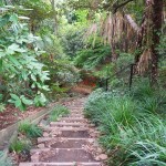 shokubutuen2-150x150 小石川植物園｜散歩するつもりがあまりにも広くて途中で断念。