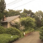 shokubutuen2-150x150 小石川植物園｜散歩するつもりがあまりにも広くて途中で断念。