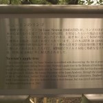 shokubutuen2-150x150 小石川植物園｜散歩するつもりがあまりにも広くて途中で断念。