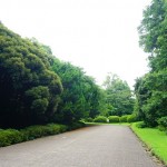 shokubutuen2-150x150 小石川植物園｜散歩するつもりがあまりにも広くて途中で断念。