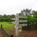 shokubutuen2-150x150 小石川植物園｜散歩するつもりがあまりにも広くて途中で断念。