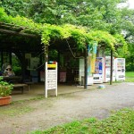 shokubutuen2-150x150 小石川植物園｜散歩するつもりがあまりにも広くて途中で断念。