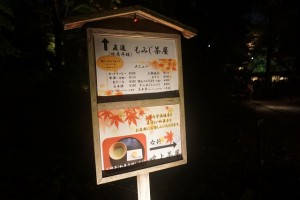 rikugien33 文京区観光名所1位｜六義園「紅葉と大名庭園のライトアップ」