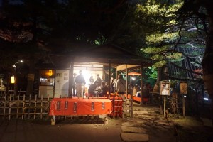 rikugien33 文京区観光名所1位｜六義園「紅葉と大名庭園のライトアップ」