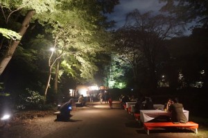 rikugien33 文京区観光名所1位｜六義園「紅葉と大名庭園のライトアップ」