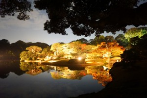 rikugien33 文京区観光名所1位｜六義園「紅葉と大名庭園のライトアップ」