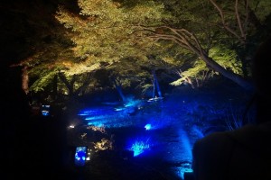 rikugien33 文京区観光名所1位｜六義園「紅葉と大名庭園のライトアップ」