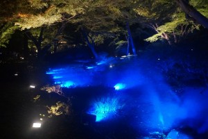 rikugien33 文京区観光名所1位｜六義園「紅葉と大名庭園のライトアップ」