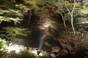 rikugien33 文京区観光名所1位｜六義園「紅葉と大名庭園のライトアップ」