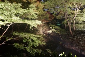 rikugien33 文京区観光名所1位｜六義園「紅葉と大名庭園のライトアップ」