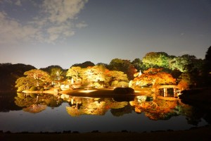 rikugien33 文京区観光名所1位｜六義園「紅葉と大名庭園のライトアップ」