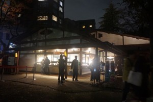 rikugien33 文京区観光名所1位｜六義園「紅葉と大名庭園のライトアップ」