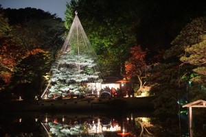 rikugien33 文京区観光名所1位｜六義園「紅葉と大名庭園のライトアップ」