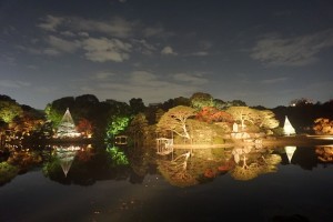 rikugien33 文京区観光名所1位｜六義園「紅葉と大名庭園のライトアップ」