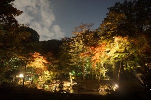 rikugien33 文京区観光名所1位｜六義園「紅葉と大名庭園のライトアップ」