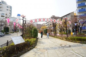 文京さくらまつり