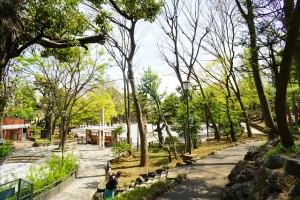 bunkyowardoffice1-min-300x200 文京区の利便性・教育環境・住環境を不動産屋目線で紹介！