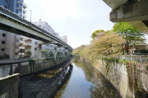 bunkyowardoffice1-min-300x200 文京区の利便性・教育環境・住環境を不動産屋目線で紹介！