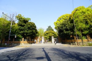 bunkyowardoffice1-min-300x200 文京区の利便性・教育環境・住環境を不動産屋目線で紹介！