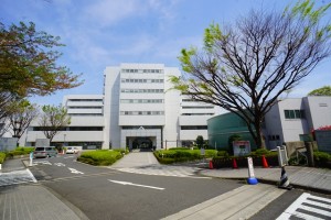 bunkyowardoffice1-min-300x200 文京区の利便性・教育環境・住環境を不動産屋目線で紹介！