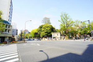 bunkyowardoffice1-min-300x200 文京区の利便性・教育環境・住環境を不動産屋目線で紹介！
