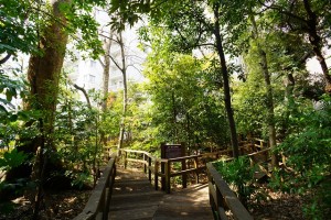 bunkyowardoffice1-min-300x200 文京区の利便性・教育環境・住環境を不動産屋目線で紹介！