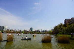 bunkyowardoffice1-min-300x200 文京区の利便性・教育環境・住環境を不動産屋目線で紹介！