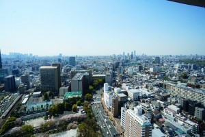 シビックセンターからの眺め