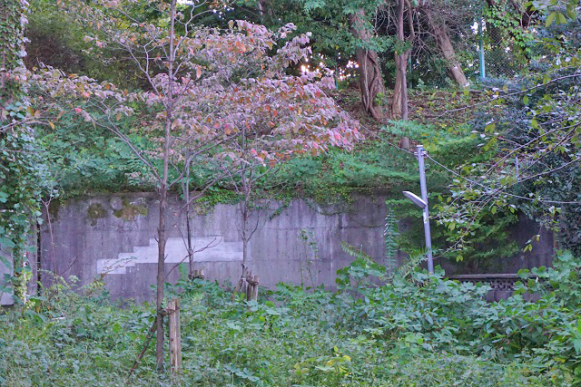 sediment-disaster 文京区で土砂災害の恐れ!?台風直撃前に来た緊急速報メール