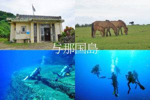 日本最西端の与那国島｜2泊3日ダイビング旅行記