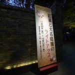 六義園「紅葉と大名庭園のライトアップ」2019年動画で紹介