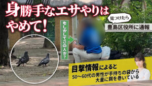 公園で鳩に餌を与えないで「隣接するマンションの資産価値にも影響!?」