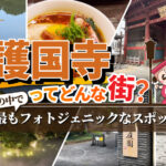 護国寺の住みやすさと街の魅力とは？マンション相場・住環境・周辺環境を徹底解説！
