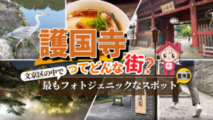 護国寺の住みやすさと街の魅力とは？マンション相場・住環境・周辺環境を徹底解説！