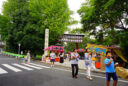 根津神社例大祭