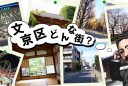 文京区どんな街?